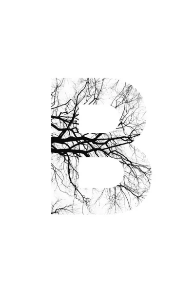 Στυλ Γραμματοσειράς Δέντρο Και Φυσική Γραμματοσειρά — Φωτογραφία Αρχείου