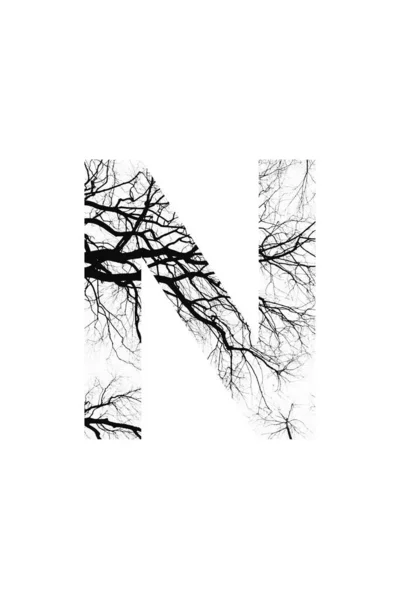 Tree Font Style Natural Font — Fotografia de Stock
