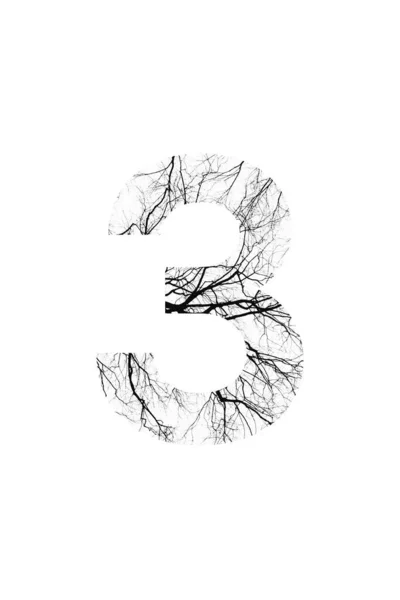 Tree Font Stijl Natuurlijk Lettertype — Stockfoto