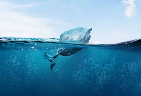 environmental and marine pollution, plastic bag in the form of fish thrown into the sea