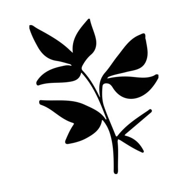 Elle çizilmiş mürekkep yaprağı. Çizgi resim posteri. Yaratıcı tasarım. Botanik çağının yaratıcı el yapımı arka planı. Botanik dekoru.