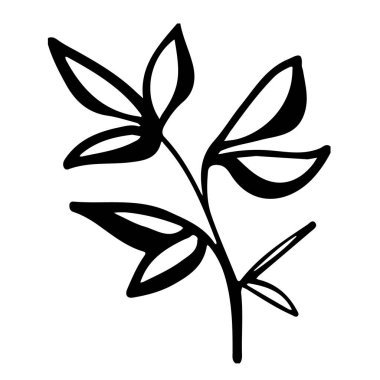 Elle çizilmiş mürekkep yaprağı. Çizgi resim posteri. Yaratıcı tasarım. Botanik çağının yaratıcı el yapımı arka planı. Botanik dekoru.