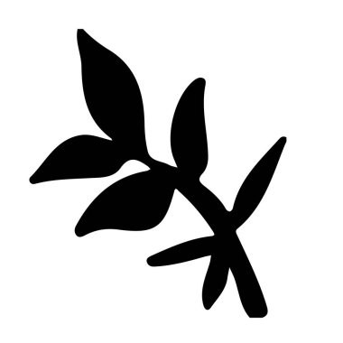 Elle çizilmiş mürekkep yaprağı. Çizgi resim posteri. Yaratıcı tasarım. Botanik çağının yaratıcı el yapımı arka planı. Botanik dekoru.