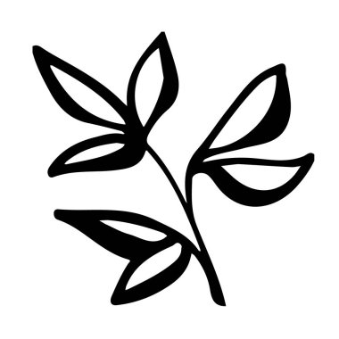 Elle çizilmiş mürekkep yaprağı. Çizgi resim posteri. Yaratıcı tasarım. Botanik çağının yaratıcı el yapımı arka planı. Botanik dekoru.