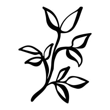 Elle çizilmiş mürekkep yaprağı. Çizgi resim posteri. Yaratıcı tasarım. Botanik çağının yaratıcı el yapımı arka planı. Botanik dekoru.