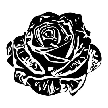 Gül Çiçeği Suluboya El karalama şekilli çizgiler çizdi. Modern suluboya lekeler, damlalar, boyanmış stil dokusu, farklı karalama elementleri olan poster. Şehir parlak gençlik tekstil örneği.