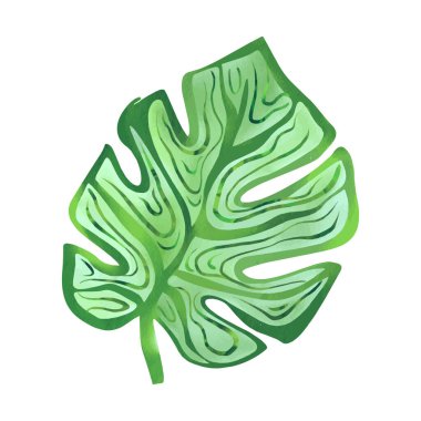 Dekoratif tasarım için suluboya palmiye yaprağı tasarım elementi. Klasik çiçek arkaplanı. Suluboya dokusu. Yaz karalaması boho boyası.  