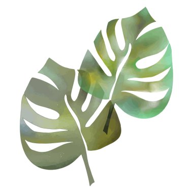 Tropik yapraklar suluboya. Doku, arka plan, desen. Renkli tropik yapraklı moda seti kumaş tasarımı için sulukolon beyaz arkaplan.