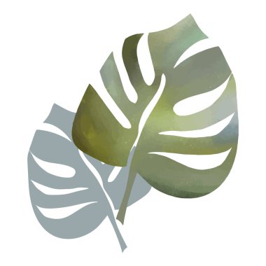 Tropik yapraklar suluboya. Doku, arka plan, desen. Renkli tropik yapraklı moda seti kumaş tasarımı için sulukolon beyaz arkaplan.