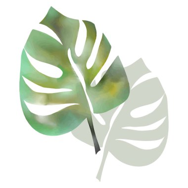 Tropik yapraklar suluboya. Doku, arka plan, desen. Renkli tropik yapraklı moda seti kumaş tasarımı için sulukolon beyaz arkaplan.