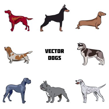 vektör köpekler