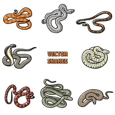 Vector snakes clipart
