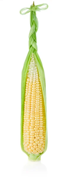 Fresh corn with braid — Stock Photo, Image