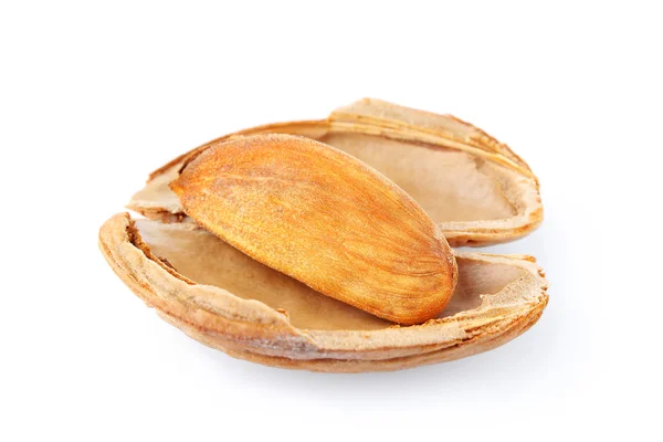 Almonds in shell — Stock Photo, Image