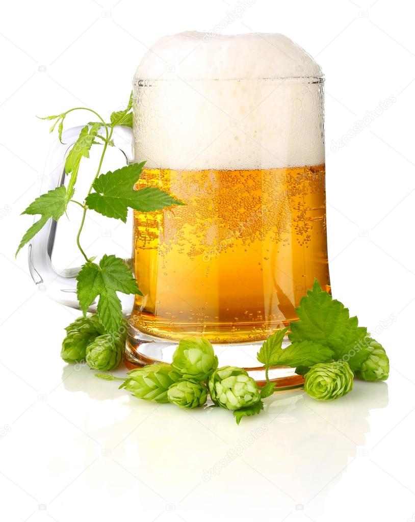 Glass beer with rich and aromatic hop