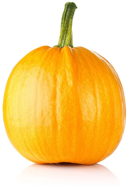 Ripe pumpkin Royalty Free Stock Photos