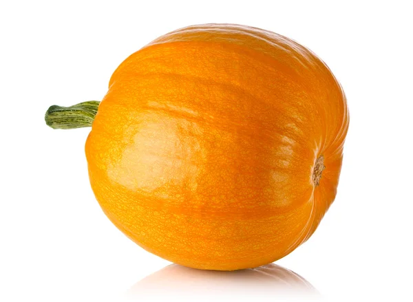 Calabaza madura — Foto de Stock