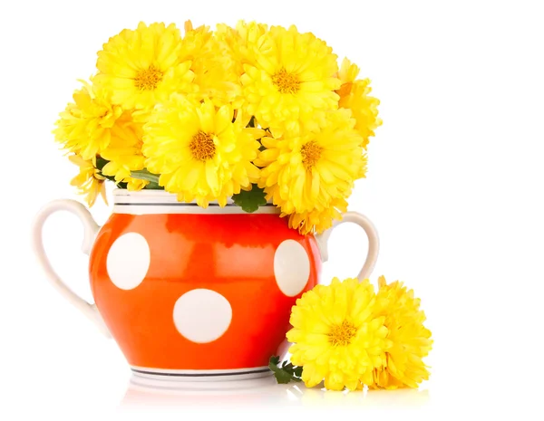 Желтый цветок в миске (кантри стиль ) — стоковое фото