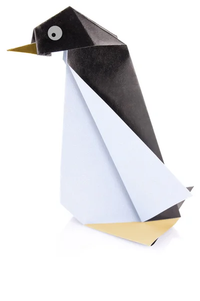 Pinguino solitario Fotografia Stock