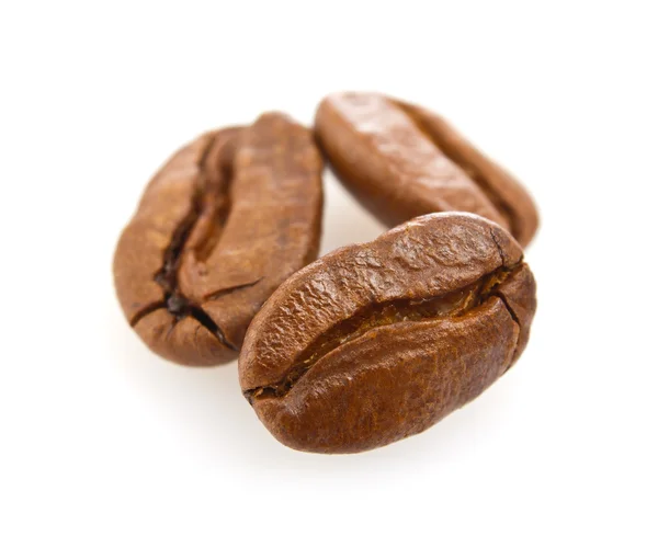 Sementes de café (macro ) — Fotografia de Stock
