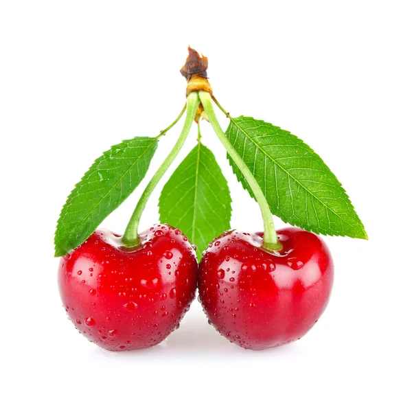 Ripe juicy cherry with drop dew and green leaves — Stock Photo, Image