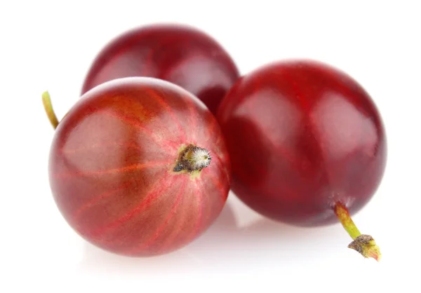 Ripe red gooseberry — Stock Photo, Image