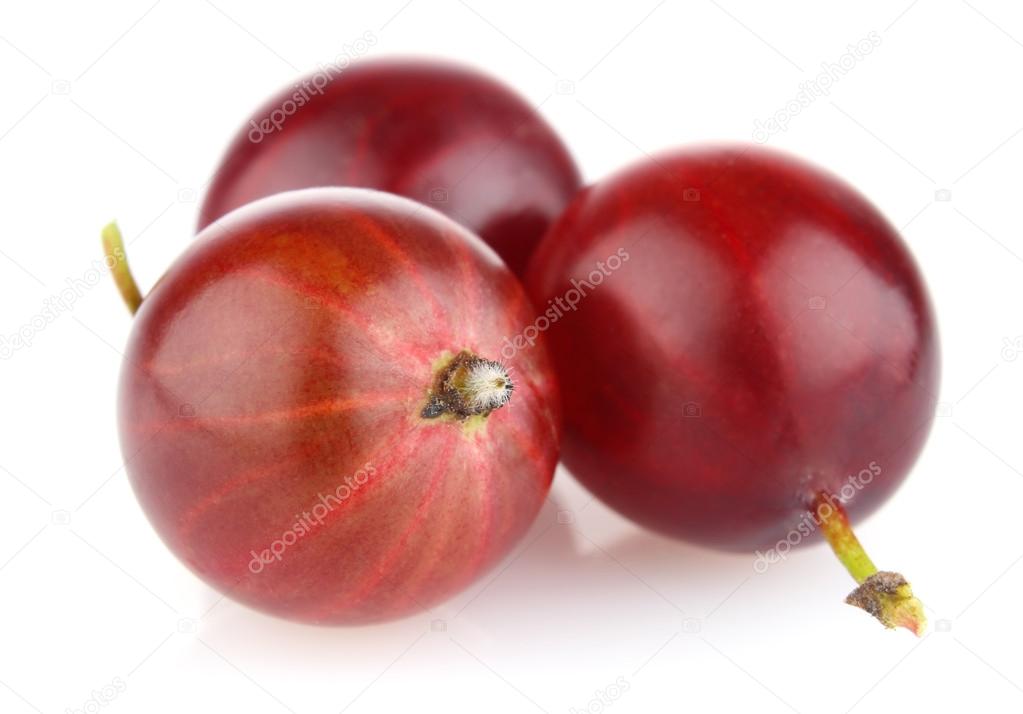 ripe red gooseberry
