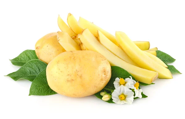 Potatoes with leaves and flower — Stockfoto