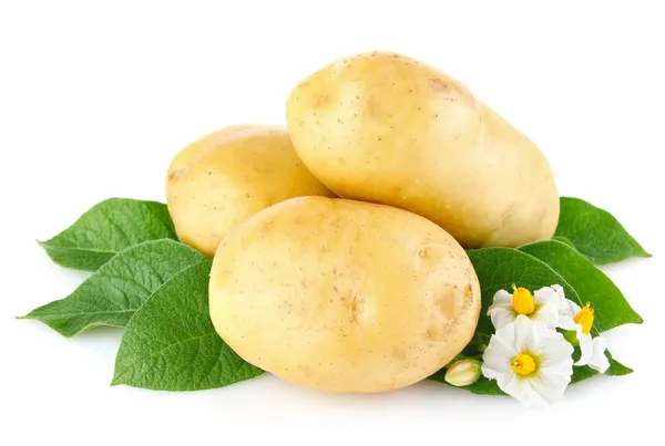 Patatas con hojas y flores Imágenes de stock libres de derechos