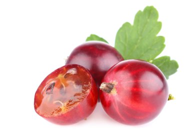 yeşil yaprak olgun bektaşi üzümü