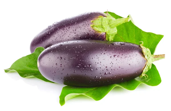 Patlıcan ile yaprak yeşil — Stok fotoğraf