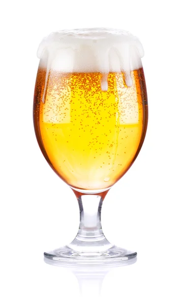 Taze bira ile kadehi — Stok fotoğraf