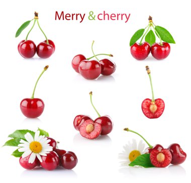 Olgun ayarla neşeli yaprak yeşil ve papatya