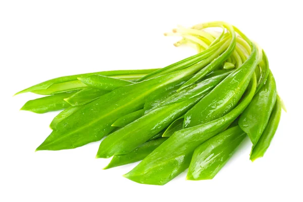 Ramson segar (daun bawang liar ) — Stok Foto