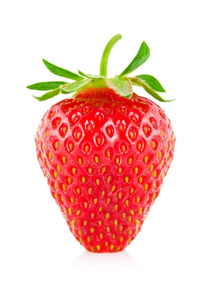 多汁的草莓 — 图库照片