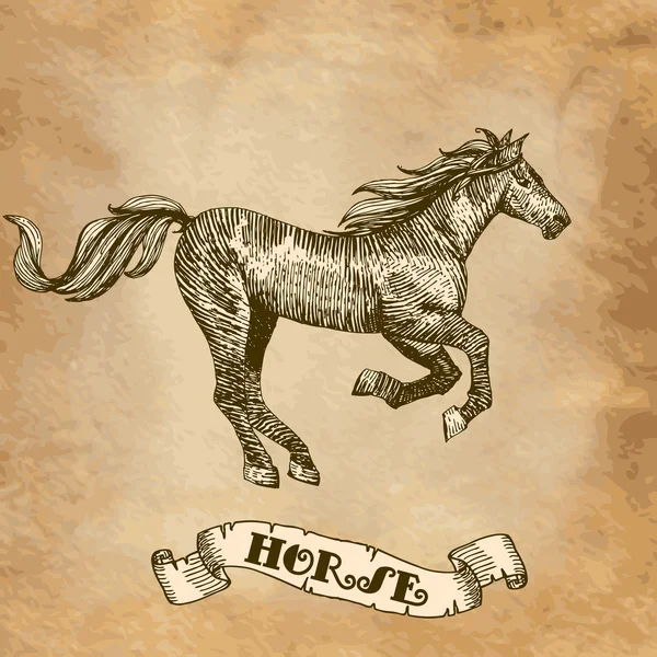 Cheval dessiné — Image vectorielle