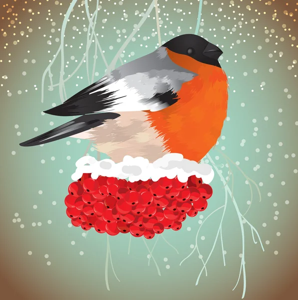 Bullfinch en una rama de rowan — Vector de stock