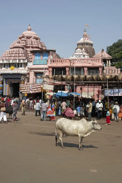 Hinduskie świątyni Jagannath — Zdjęcie stockowe