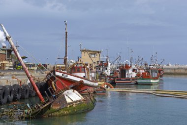 lamberts bay, balıkçı tekneleri