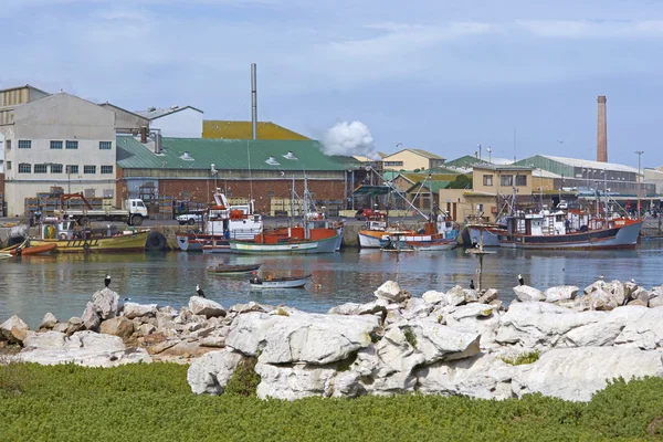 Lamberts bay rybářský přístav — Stock fotografie