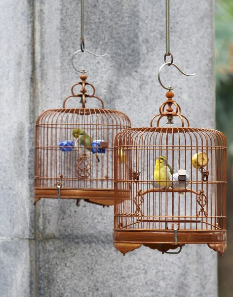 Giardino degli uccelli di Hong Kong — Foto Stock