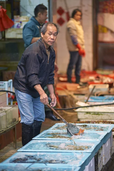 Mann verkauft Fisch — Stockfoto
