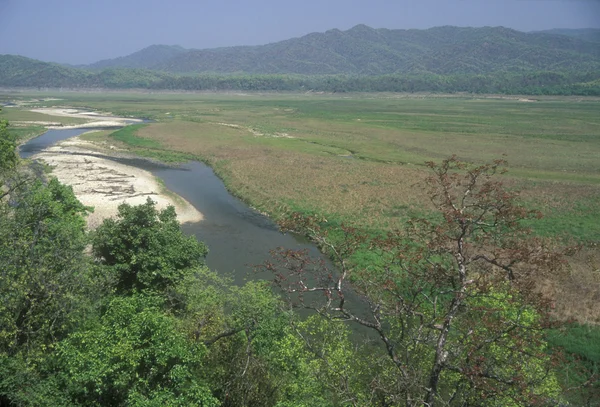 Parco nazionale di Corbett — Foto Stock