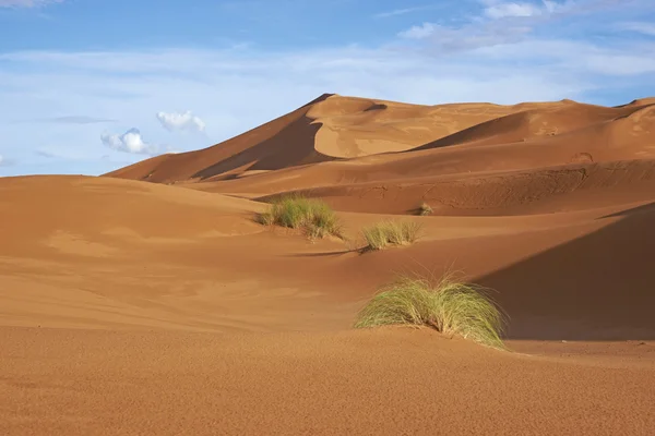 Песчаные дюны Сахары — стоковое фото