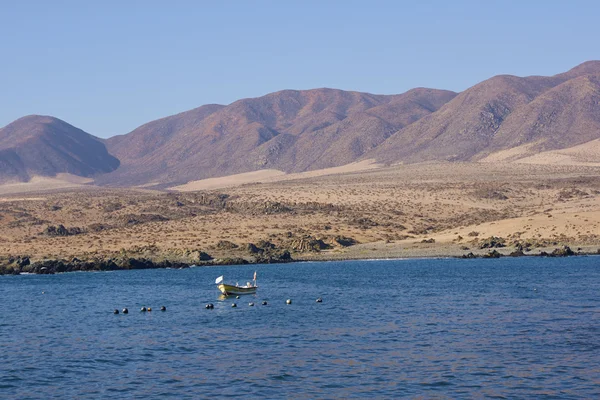 Połów Łódka od atacama — Zdjęcie stockowe