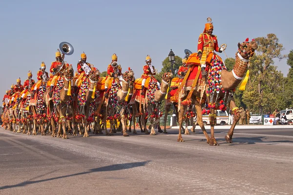 Καμήλα μονταρισμένο μπάντα στην παρέλαση — Φωτογραφία Αρχείου