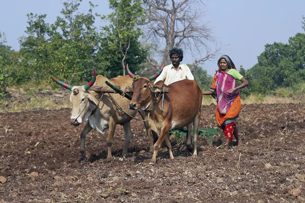 Viața în India rurală — Fotografie, imagine de stoc