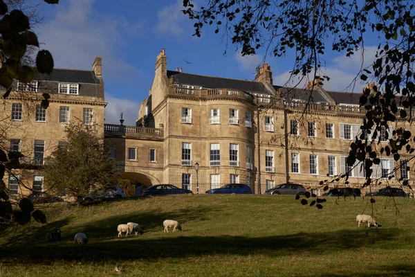 Bath Somerset Royaume Uni Novembre 2021 Pâturage Moutons Devant Croissant — Photo