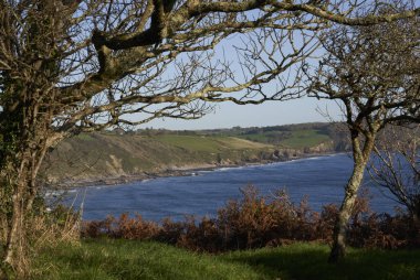 İngiltere 'nin Portloe çevresindeki Cornwall' un güney kıyısı boyunca kıyı manzarası