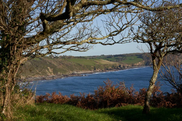 Ngiltere Nin Portloe Çevresindeki Cornwall Güney Kıyısı Boyunca Kıyı Manzarası — Stok fotoğraf